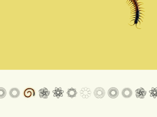 382831 (a): :1024x768